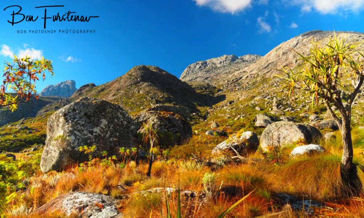 Clear view over to Mt. Sapitwa, Mulanje Mountains, Malawi 