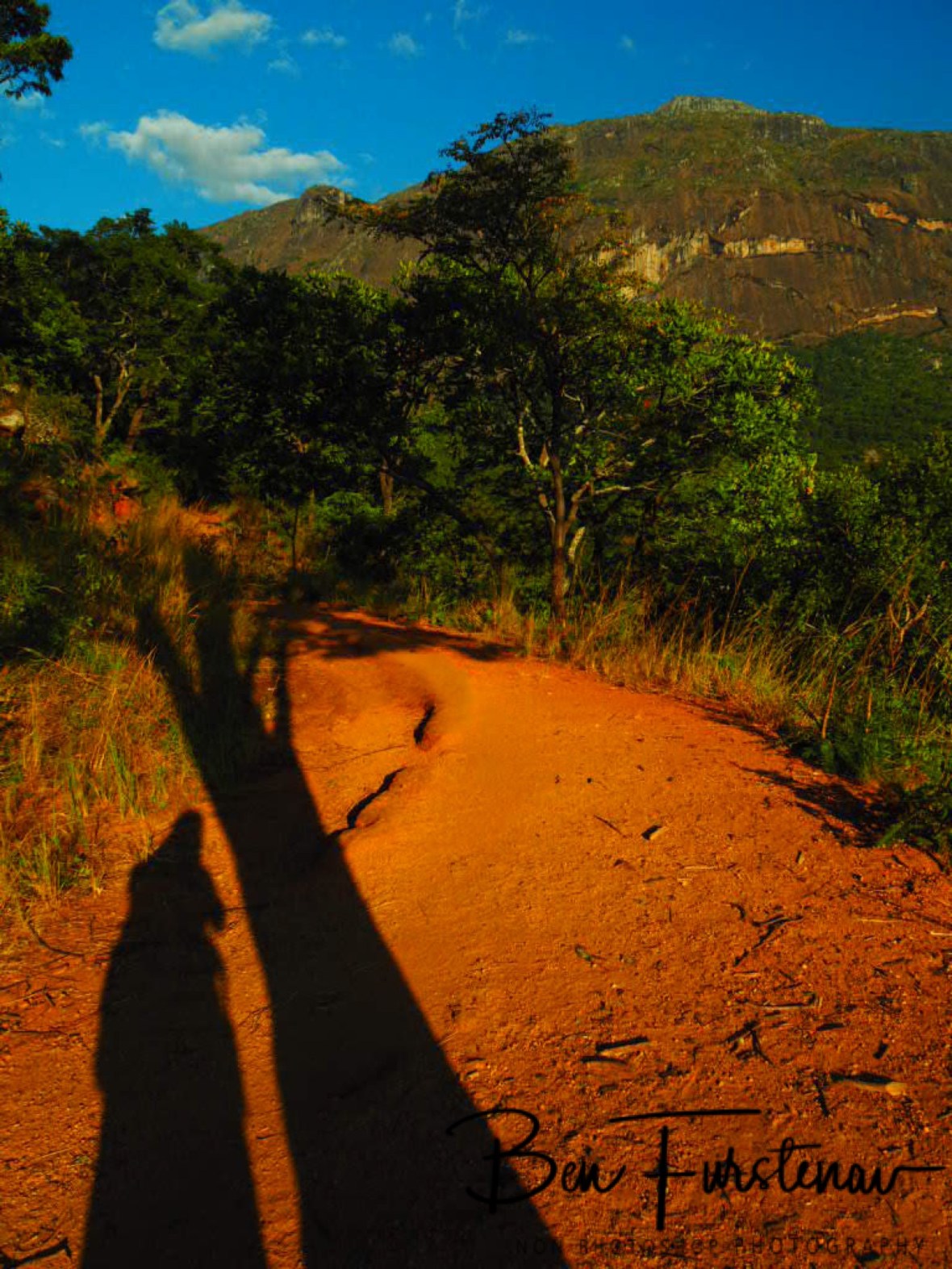 Long shadows on red soil, Mulanje Mountains, Malawi 