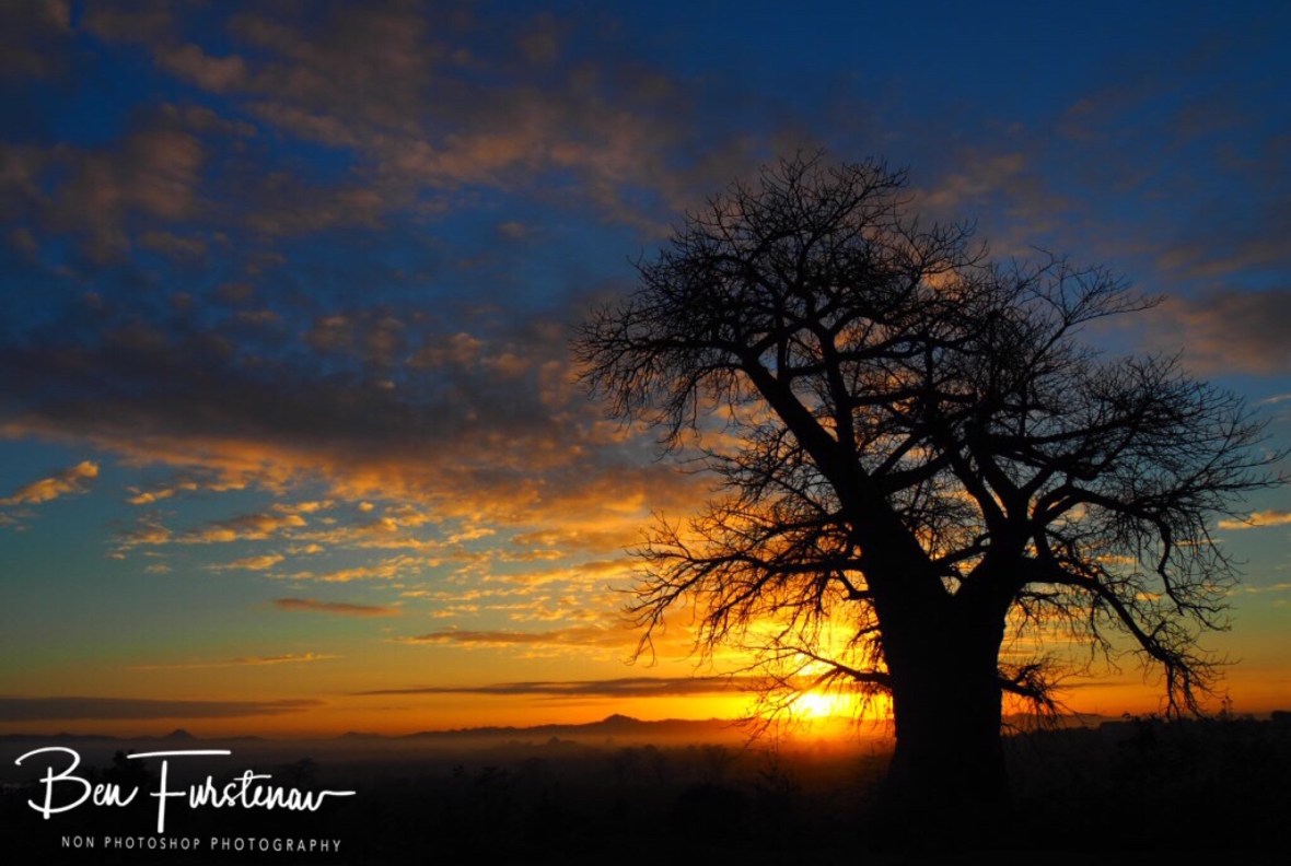 Baobab skyline, Tete, Mozambique 