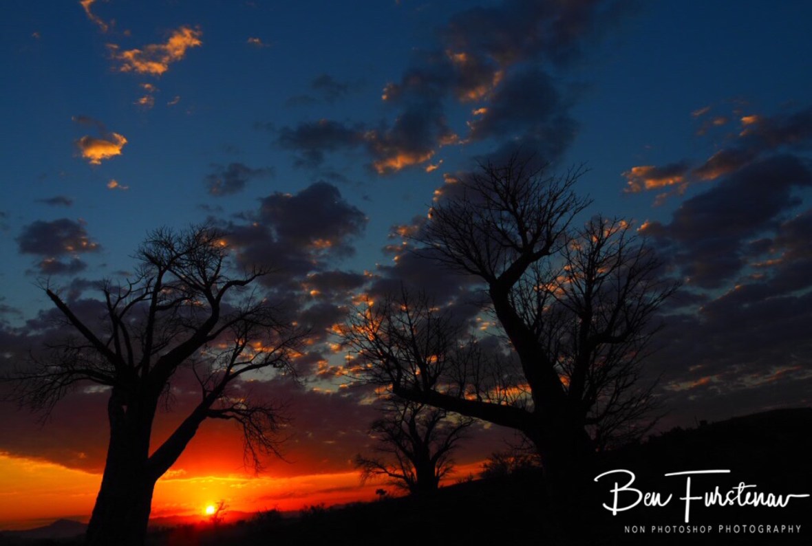 Awesome threesome, Tete, Mozambique 
