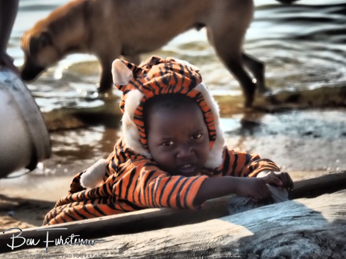 Tiger princess looking rather cute in Chembe, Cape Maclear, Lake Malawi, Malawi