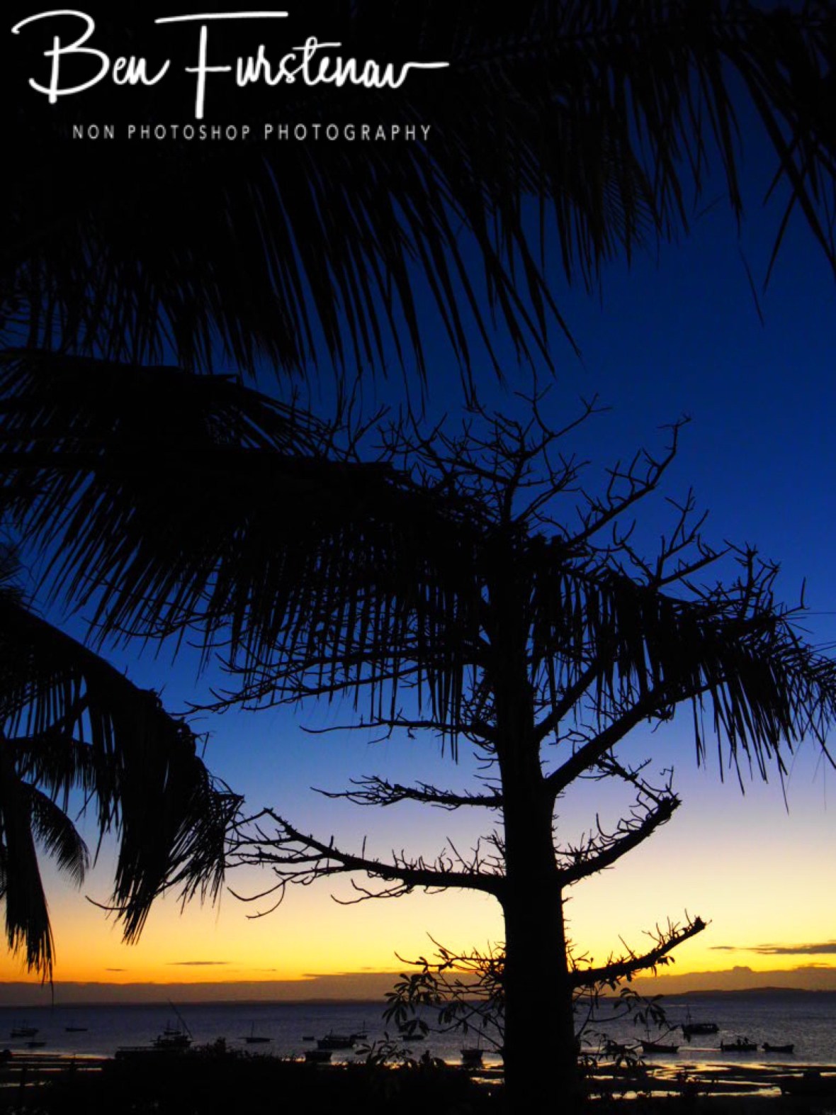 Baobab sunrise, Vilankulo, Mozambique