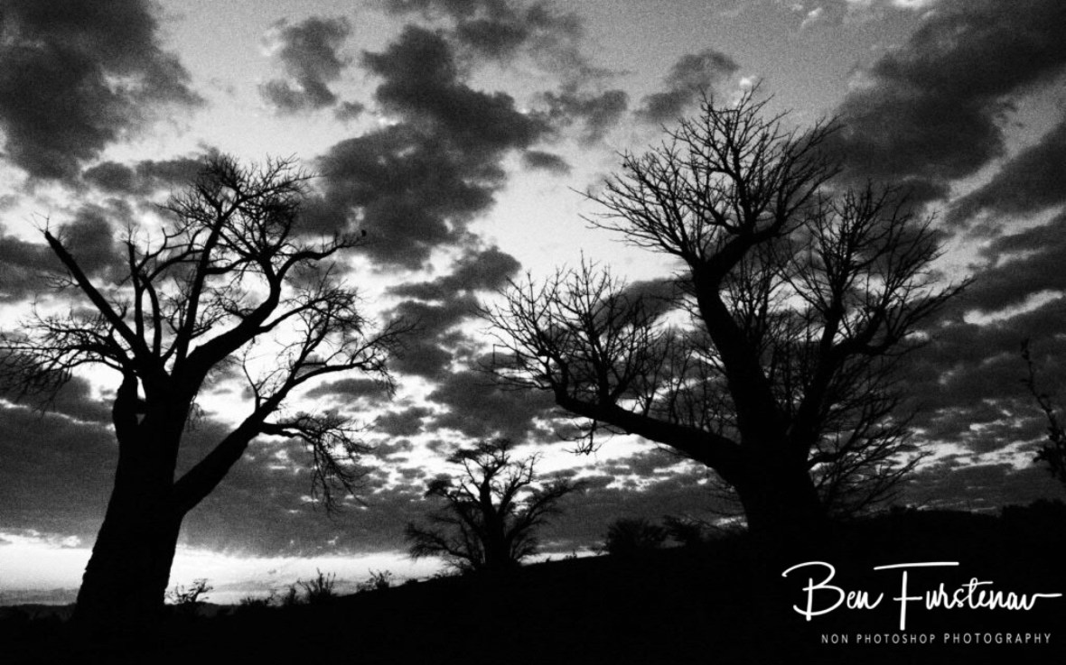 Alien antennas, Tete, Mozambique 