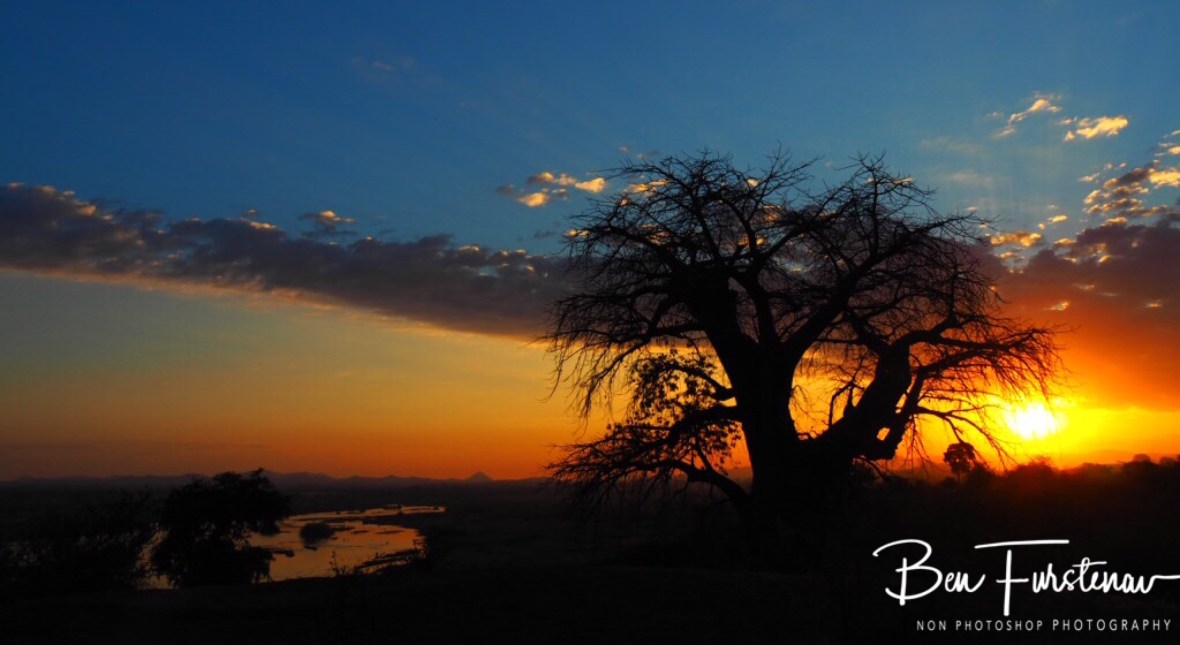 By the river, Tete, Baobab 