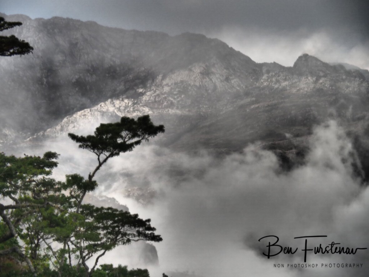 Ghostly mistified, Mulanje Mountains, Malawi 