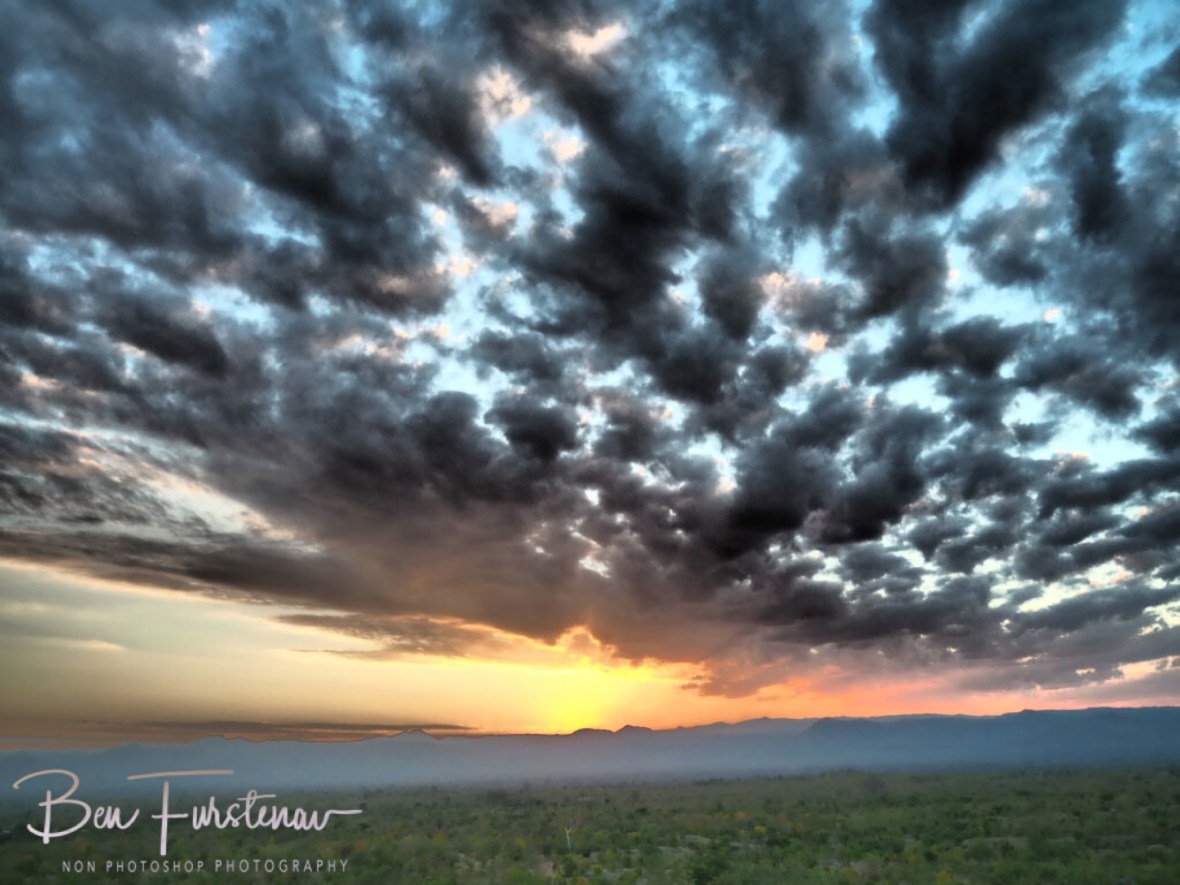 Dramatic sunset over Baobab Forrest, Mwanza Region, Malawi 