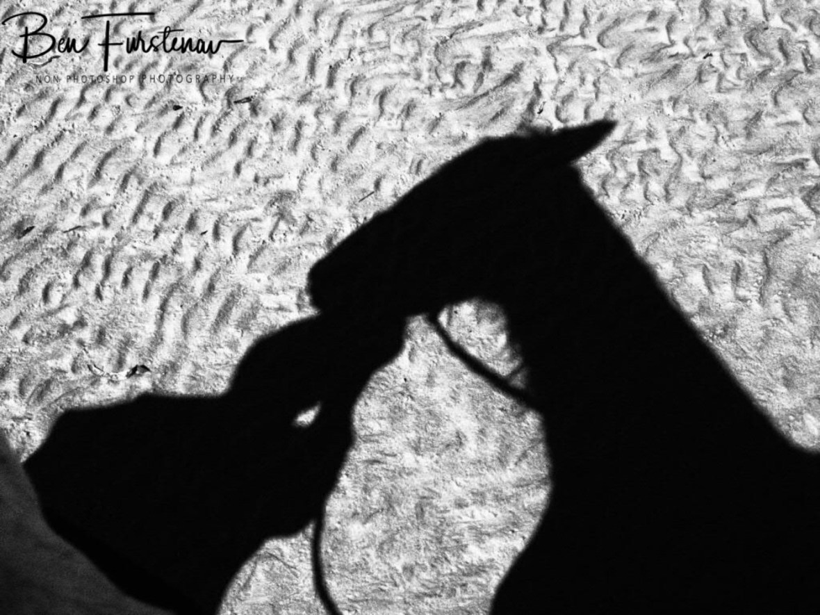 Horse shadows, Vilankulo, Mozambique 