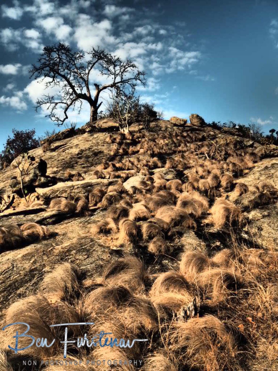 One baobab tree hill, Mwanza Region, Malawi 