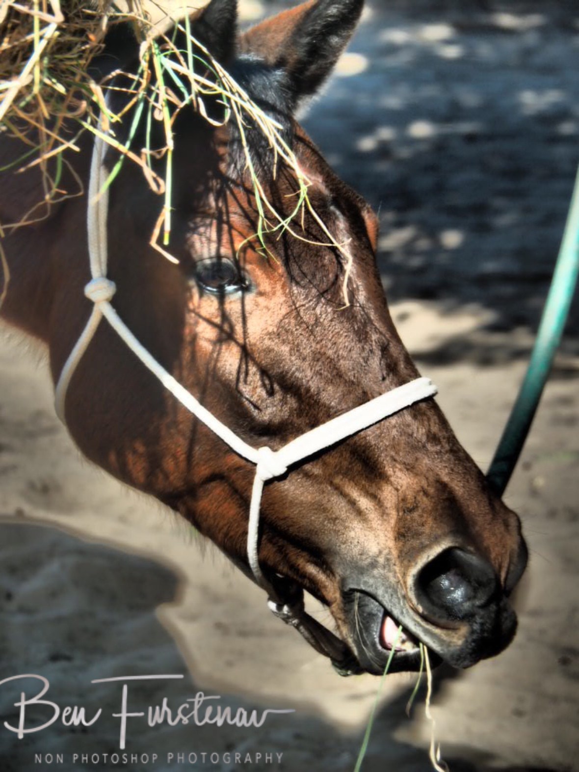 A straw hat, always in fashion, Vilankulo, Mozambique