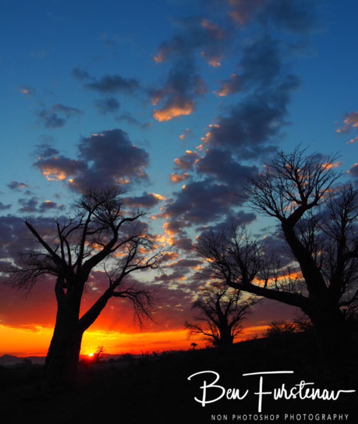 Reaching to the skies, Tete, Mozambique 
