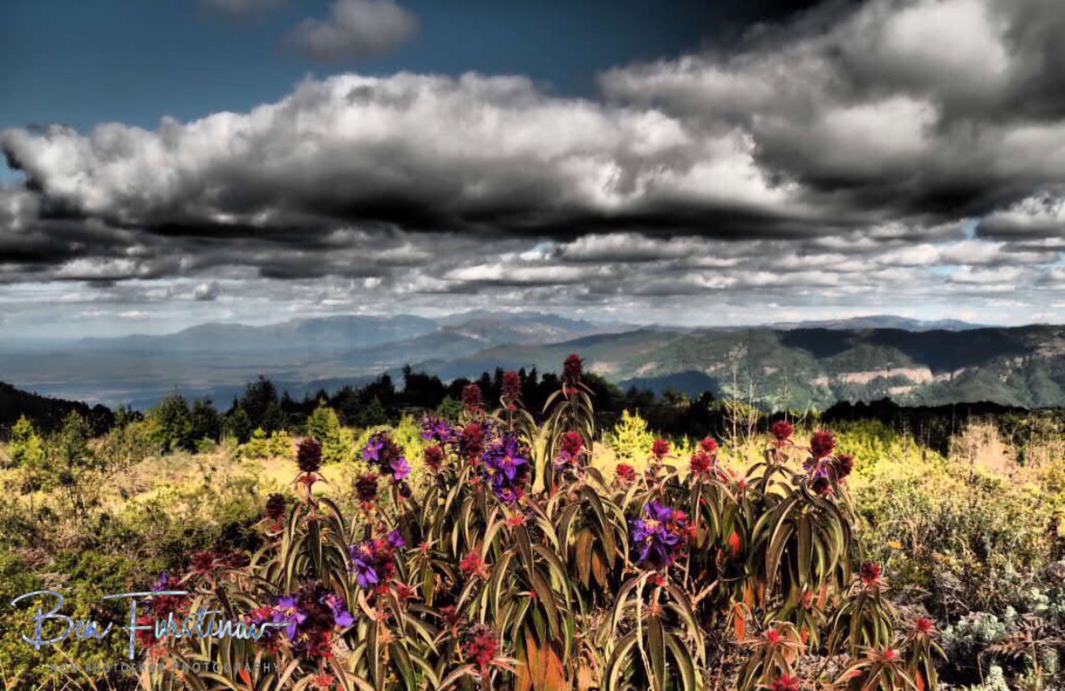 Dramatic and chilly, Mount Tsetserra, Chimanimani Mountains, Mozambique 