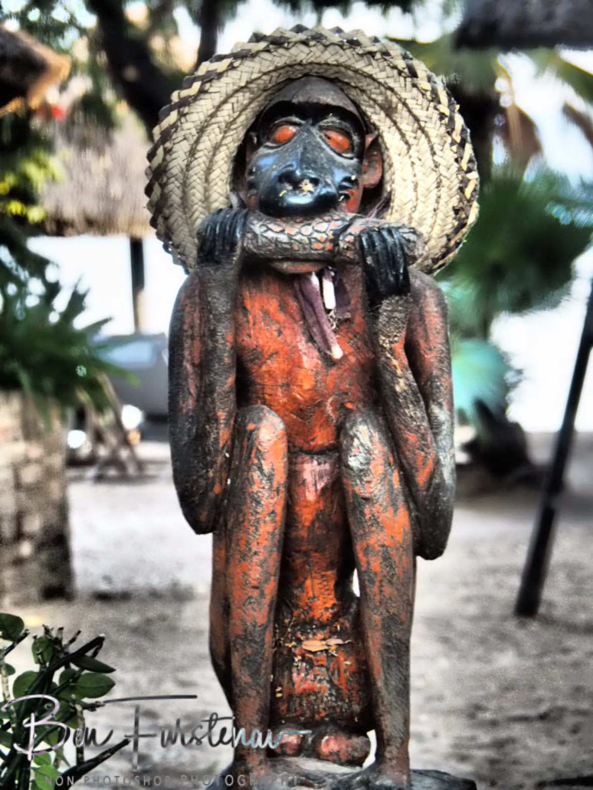 Fat monkey business, Chembe, Cape MaClear, Lake Malawi, Malawi