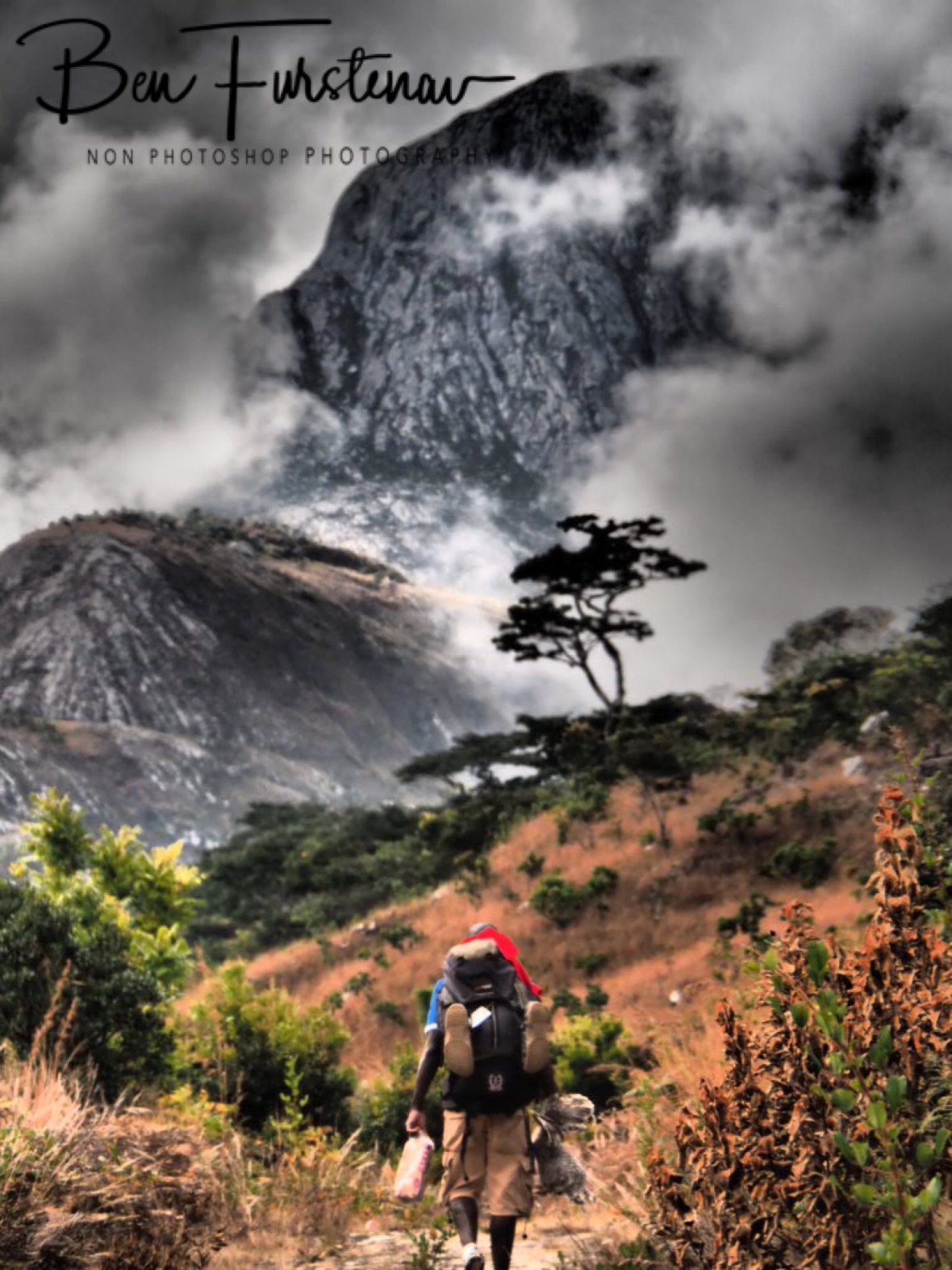 Porter Charles running of in to thick bush and clouds, Mulanje Mountains, Malawi 