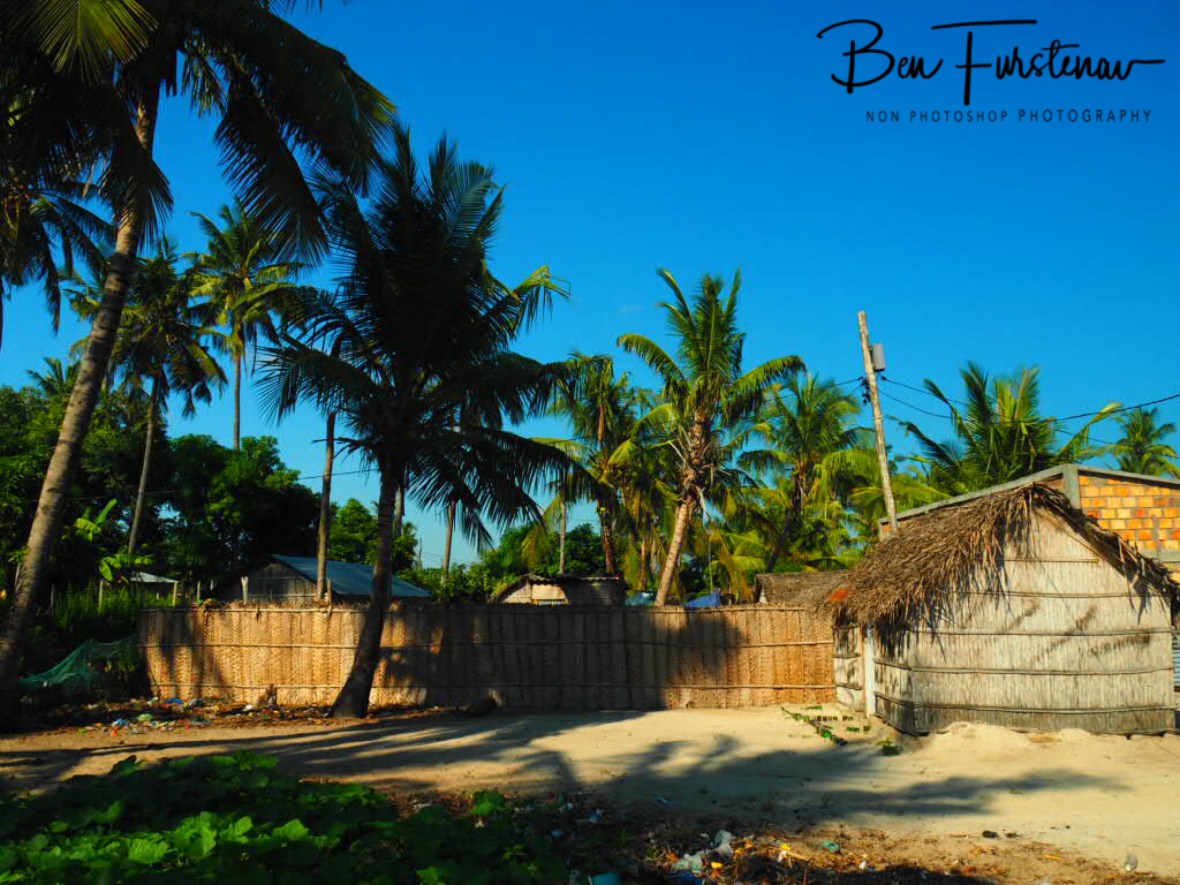 Harsh tropical life, Inhambane, Mozambique