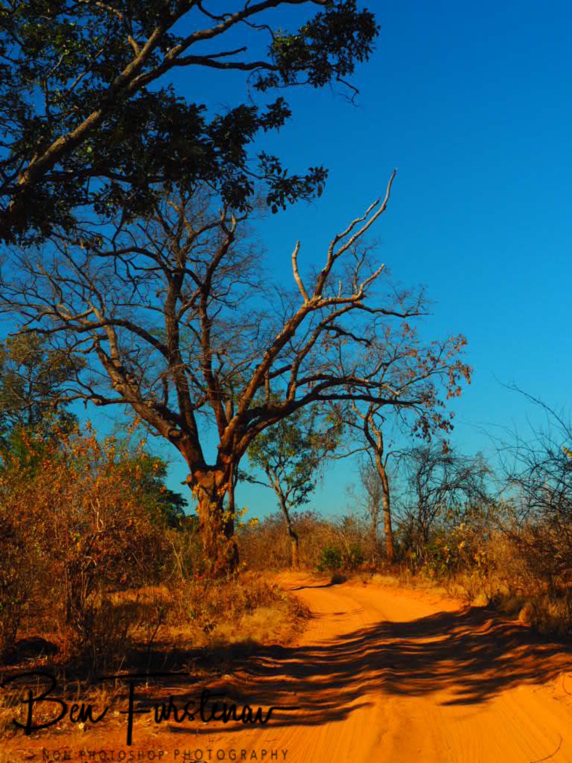 Red centre of Lower Zambezi Valley, Zambia 