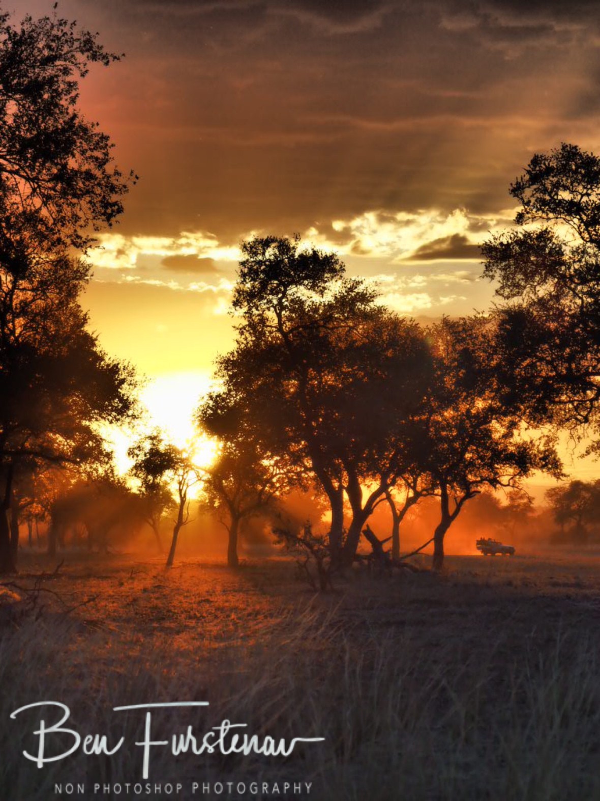 Dusty sunset drive in South Luangwa National Park, Zambia 