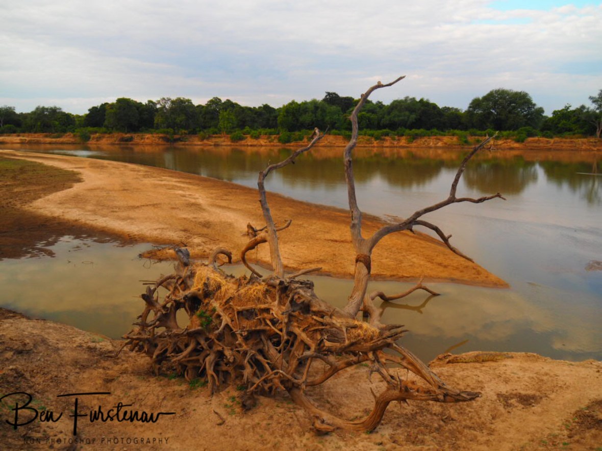 The result off torrent waters of South Luangwa River, Zambia 