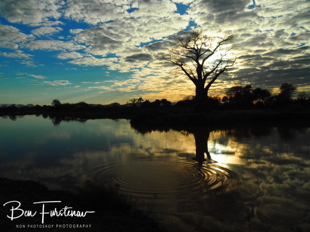 Rippled reflections on surroundings, Lower Zambezi Valley, Zambia 