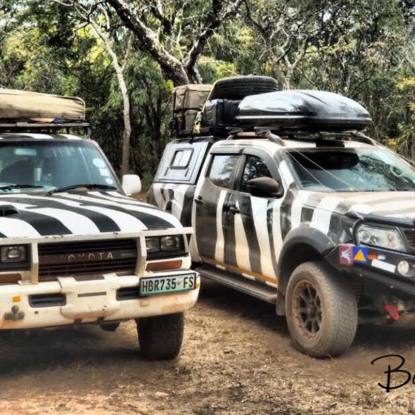 Zebra wagon double, Pioneer Camp, Lusaka, Zambia