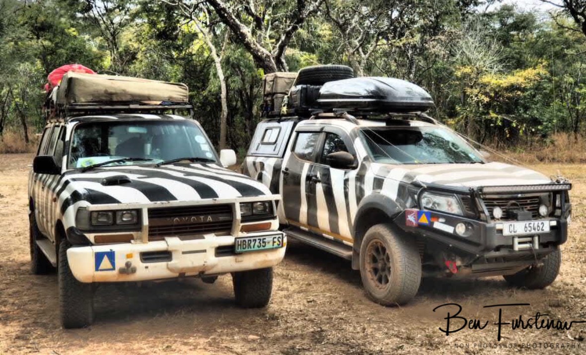 Zebra wagon double, Pioneer Camp, Lusaka, Zambia 