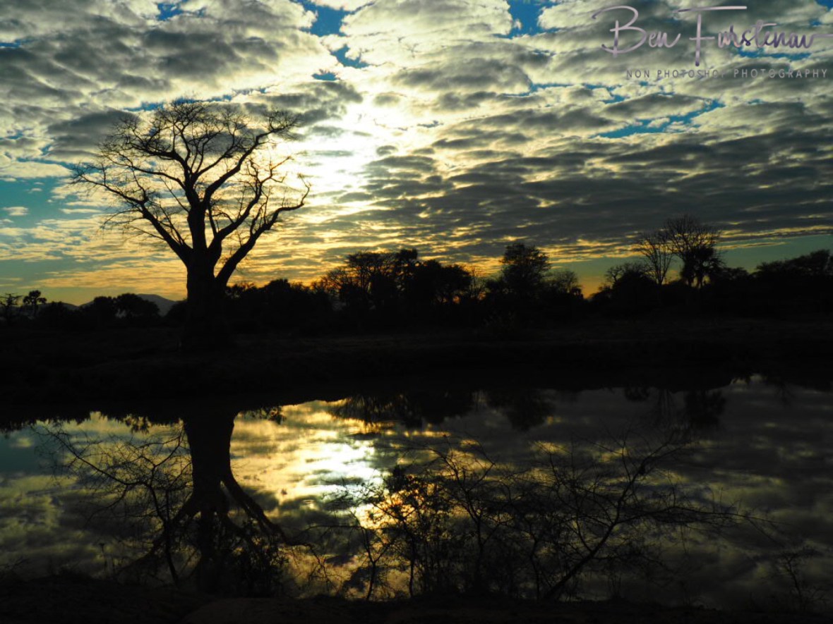 Breathtaking sunrise at Lower Zambezi Valley, Zambia