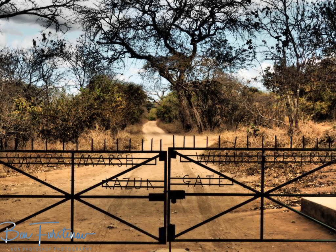 Entrance to Jurassic Park, Vwaza Marsh National Reserve, Malawi 