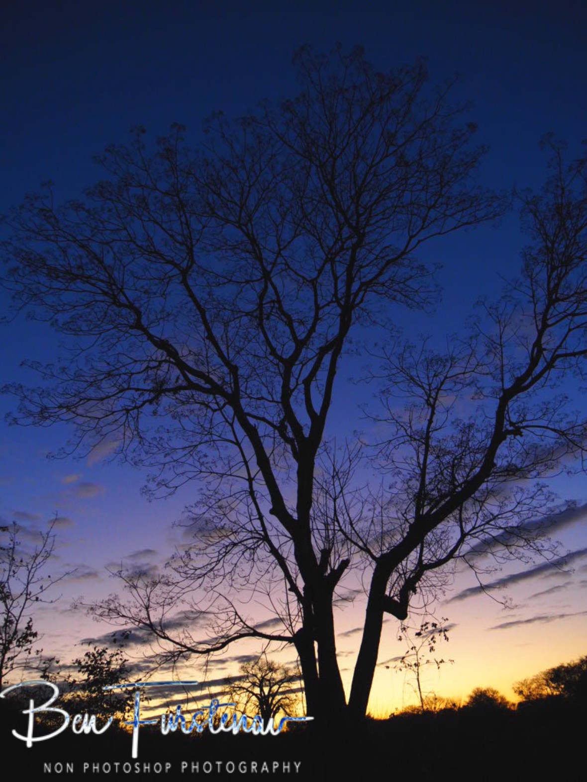 Deep blue skies over the Lower Zambezi Valley, Zambia