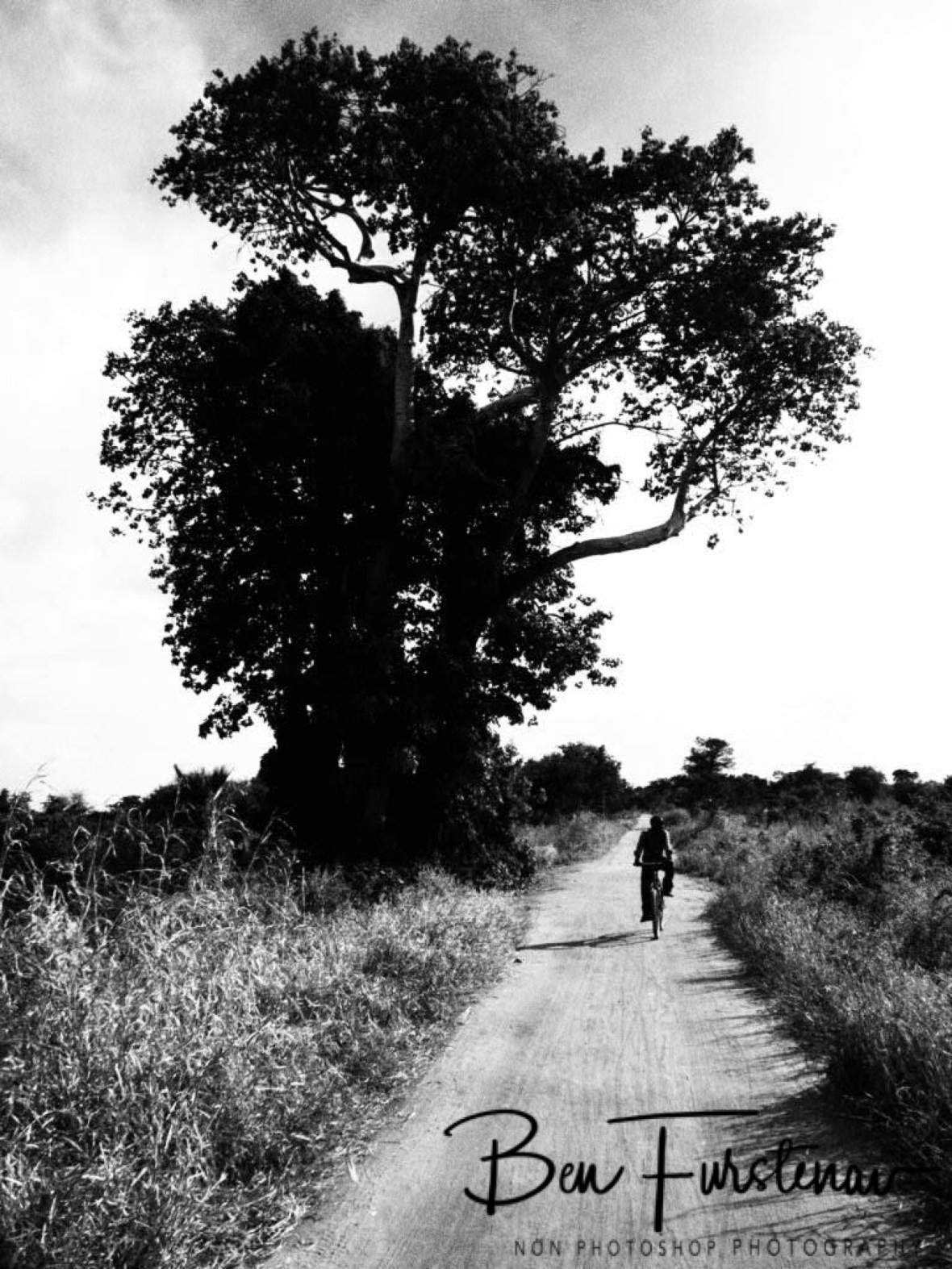 A lone cyclist passing by, Liwonde Region, Malawi 