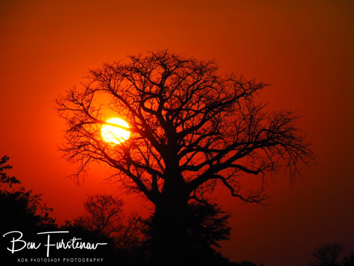 And leaving the sun behind, Lower Zambezi Valley, Zambia 