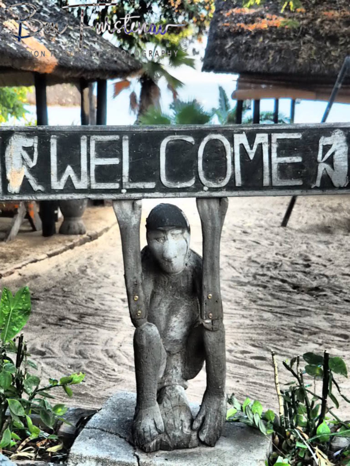 Monkey welcome, Chembe, Cape MaClear, Lake Malawi, Malawi