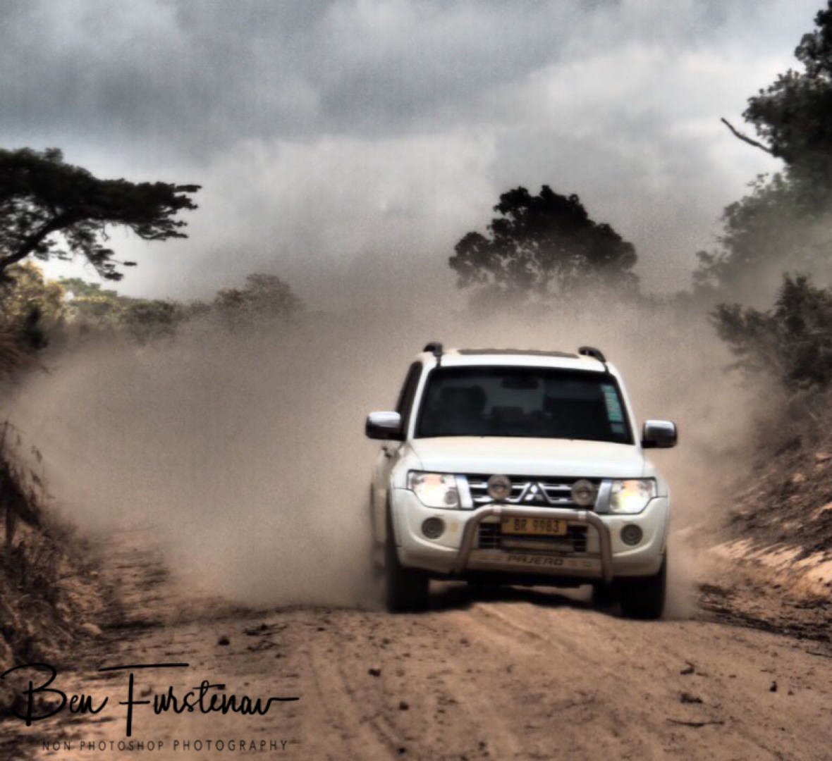 A fellow traveler whirling up dust at Nyika National Park, Malawi 
