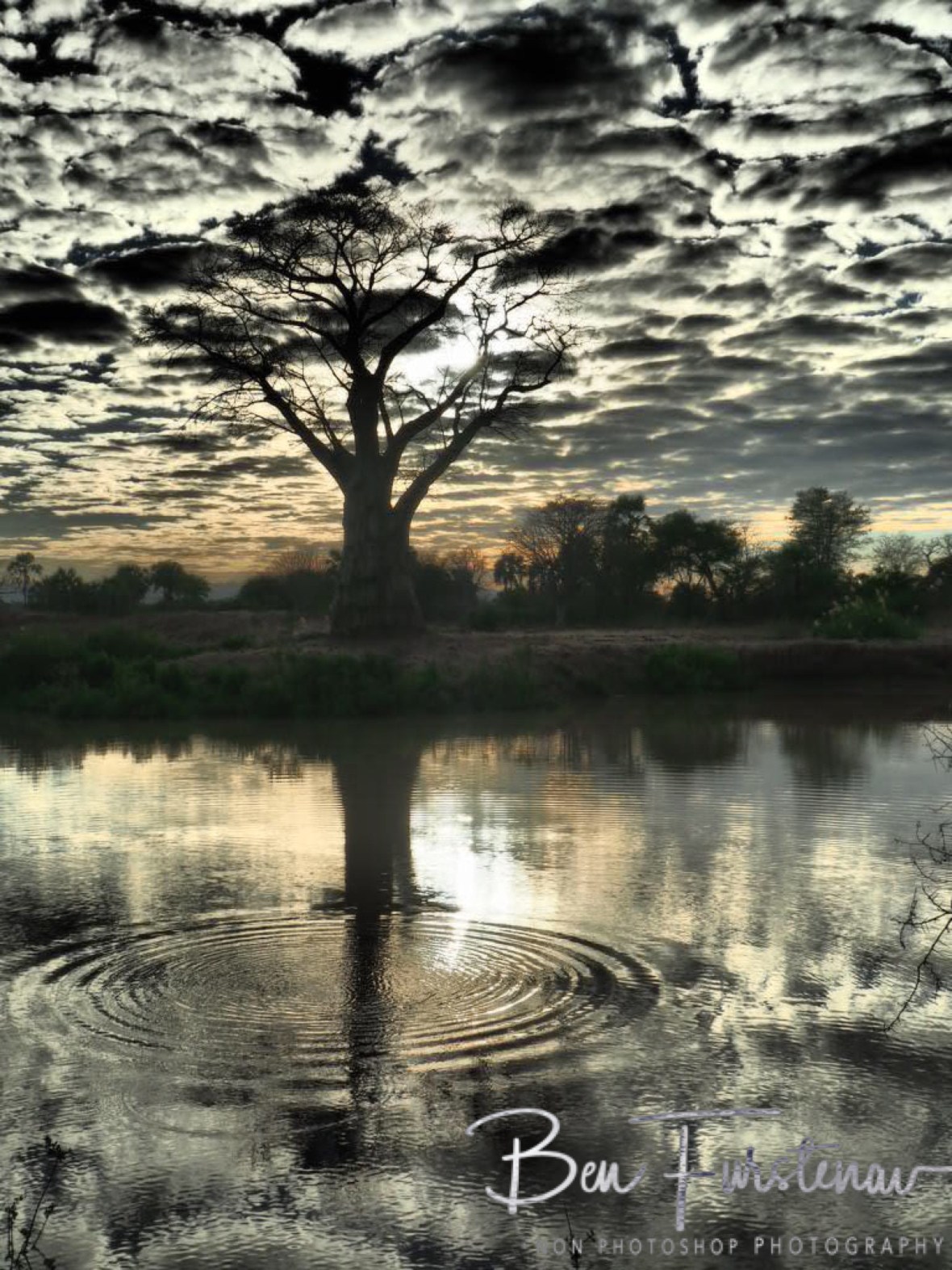 Rippled reflections, Lower Zambezi Valley, Zambia 