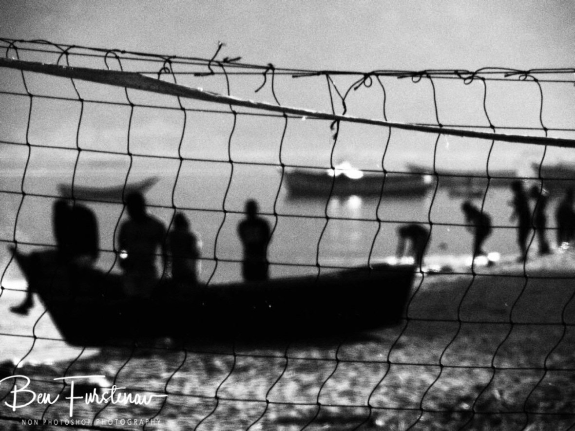 B03E719A-B0DE-44A7-B83D-05B07A819EF8