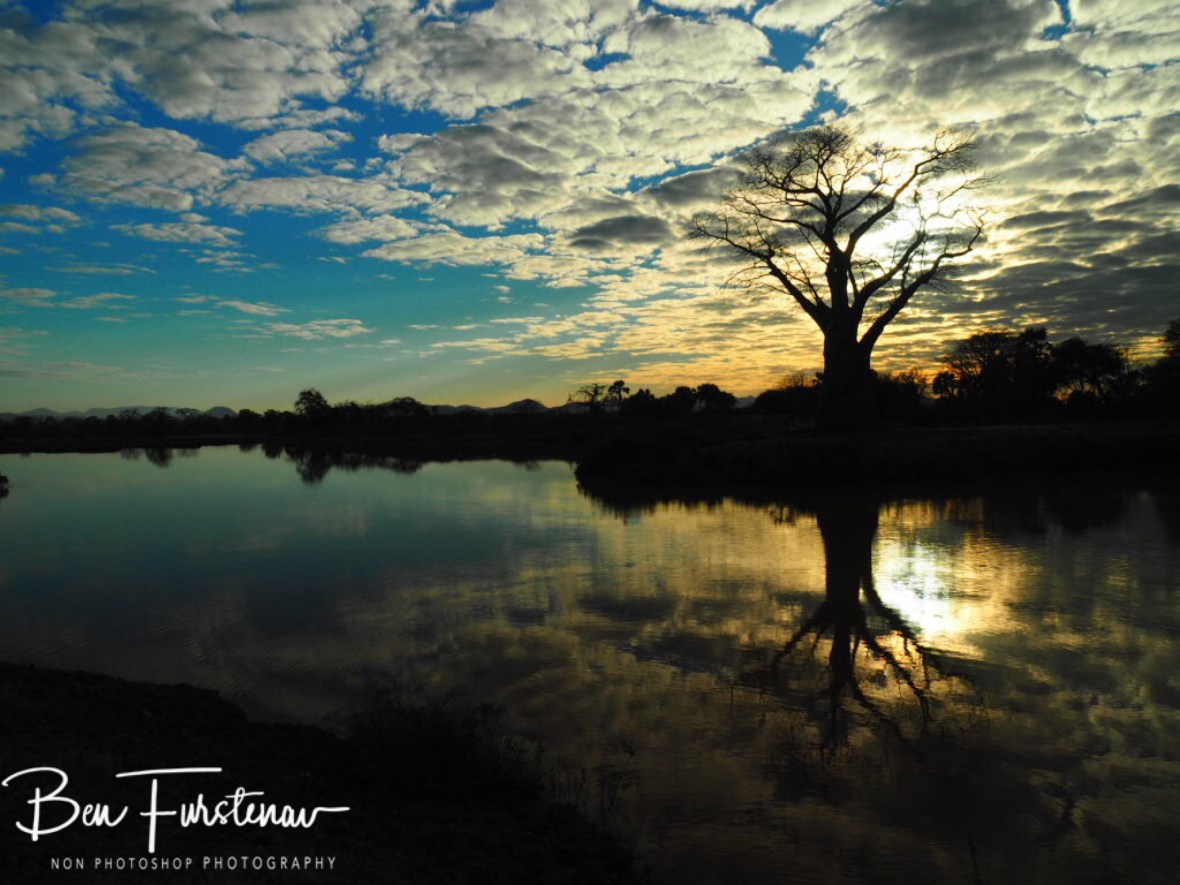 Lake surroundings reflections, Lower Zambezi Valley, Zambia 