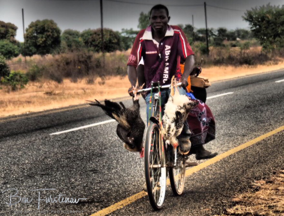 Riding to a picnic spot?, Lilongwe Region, Malawi
