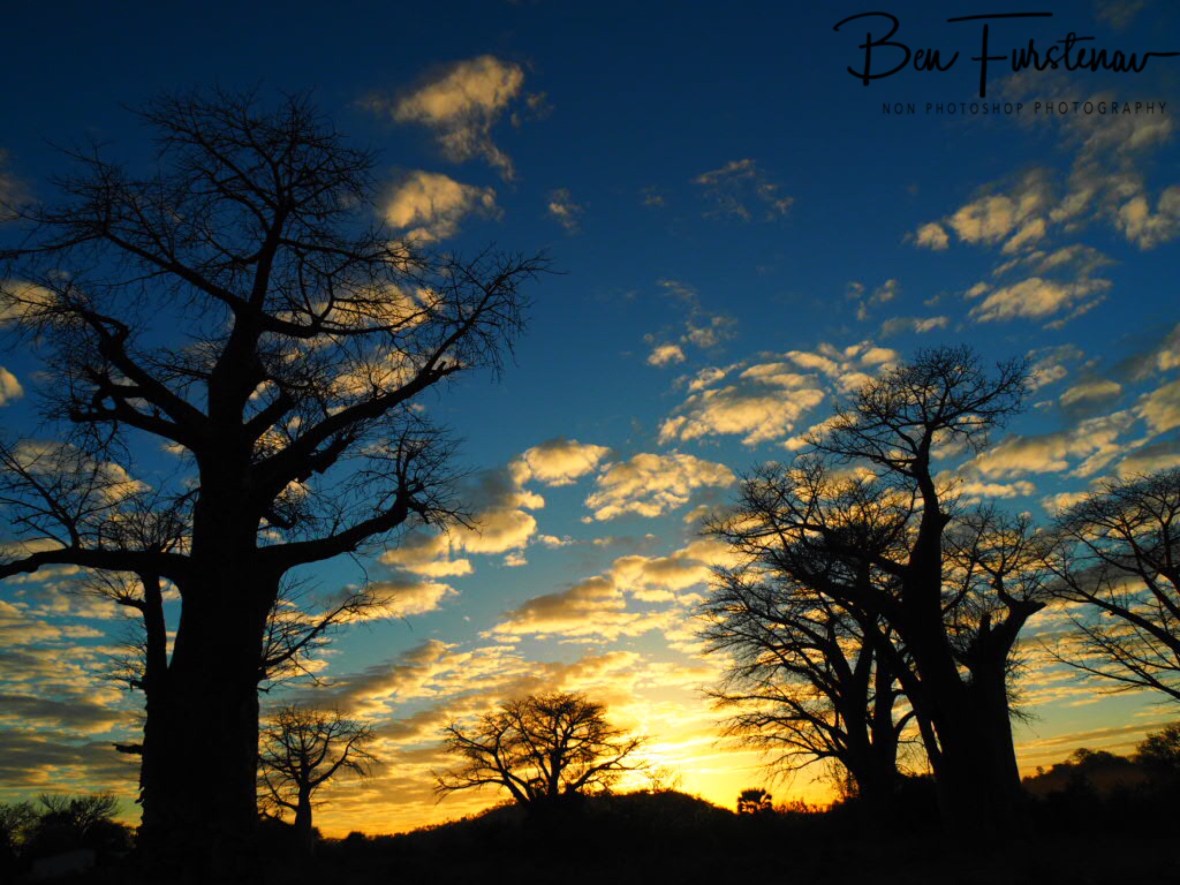 I can’t get enough off this site, Lower Zambezi Valley, Zambia 
