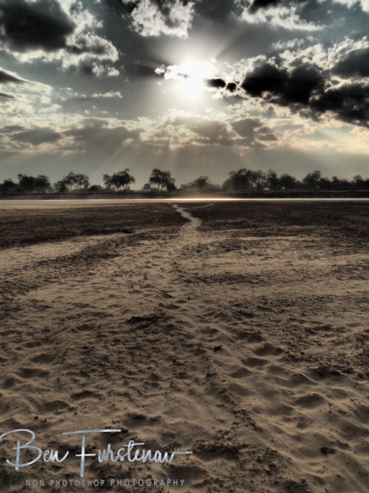 Hippo trails leading to the Luangwa River, South Luangwa National Park, Zambia 
