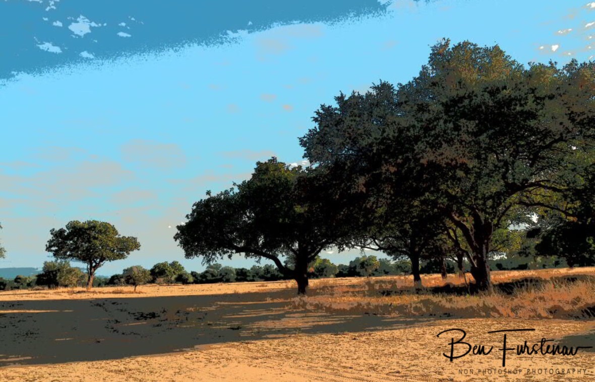 Arid sandy land in South Luangwa National Park, Zambia 