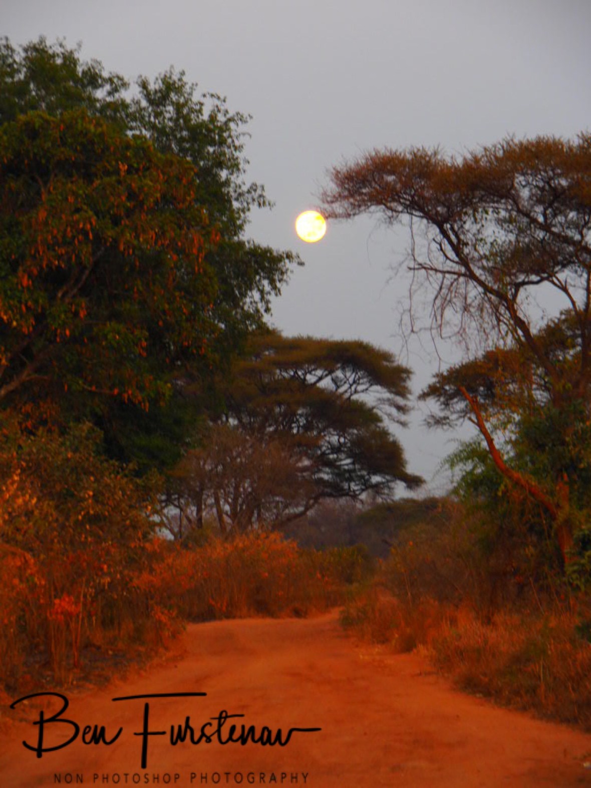 Following the full moon, Lower Zambezi Valley, Zambia 