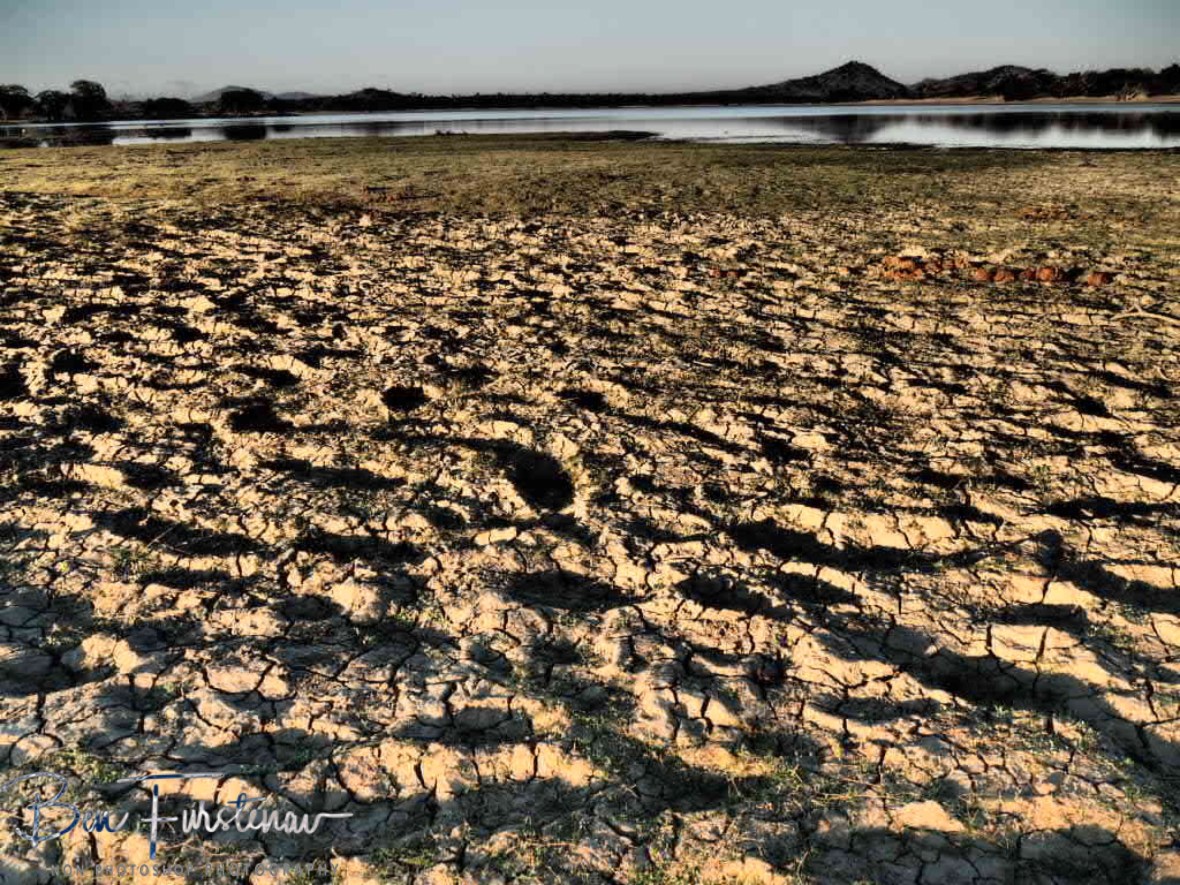 Dried elephant and hippo trails at Lake Kazuni, Vwaza Marsh National Reserve, Malawi 