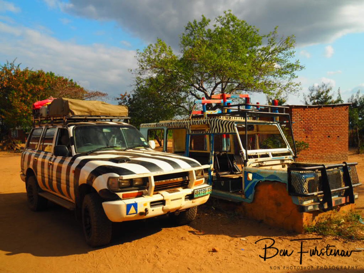 Zimba’s cousin, now a boy toy, near Liwonde National Park, Malawi