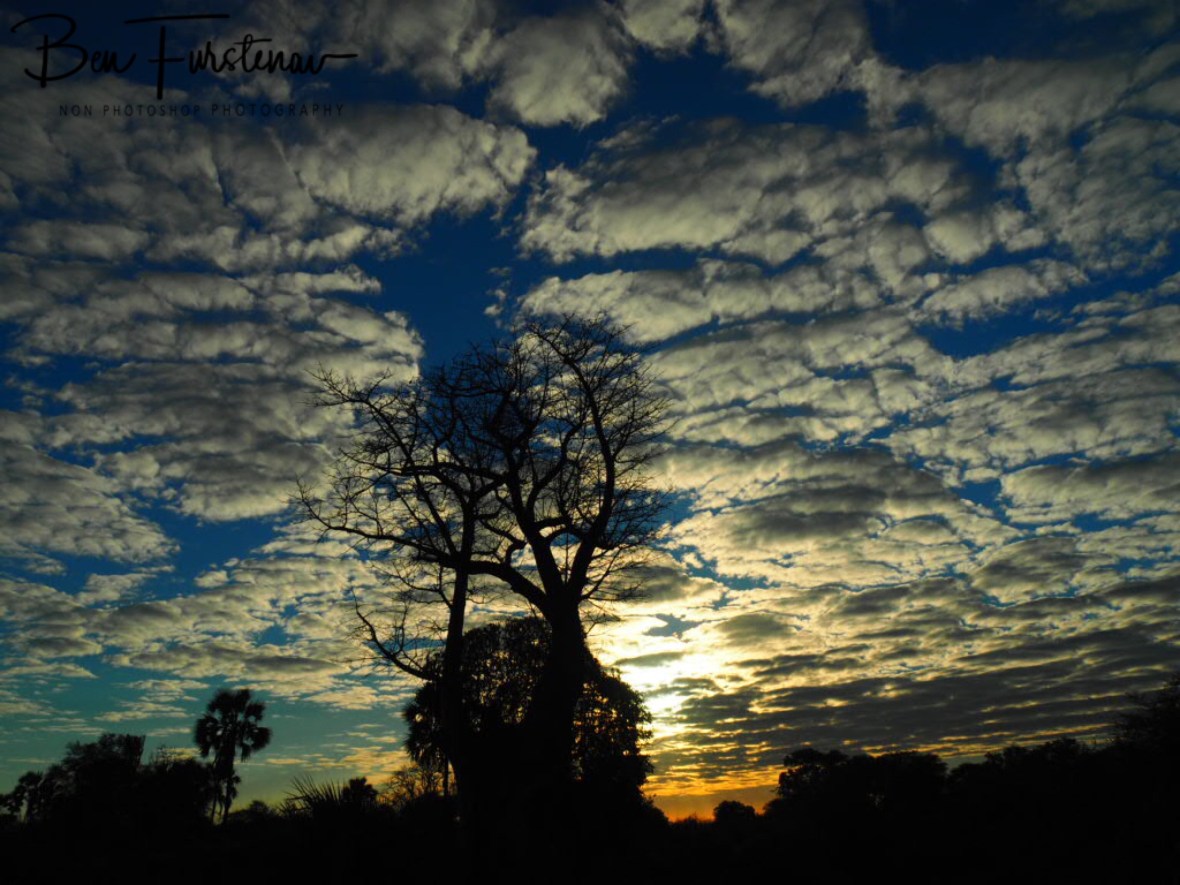 Scattered clouds appeared in the Sky, Lower Zambezi Valley, Zambia 