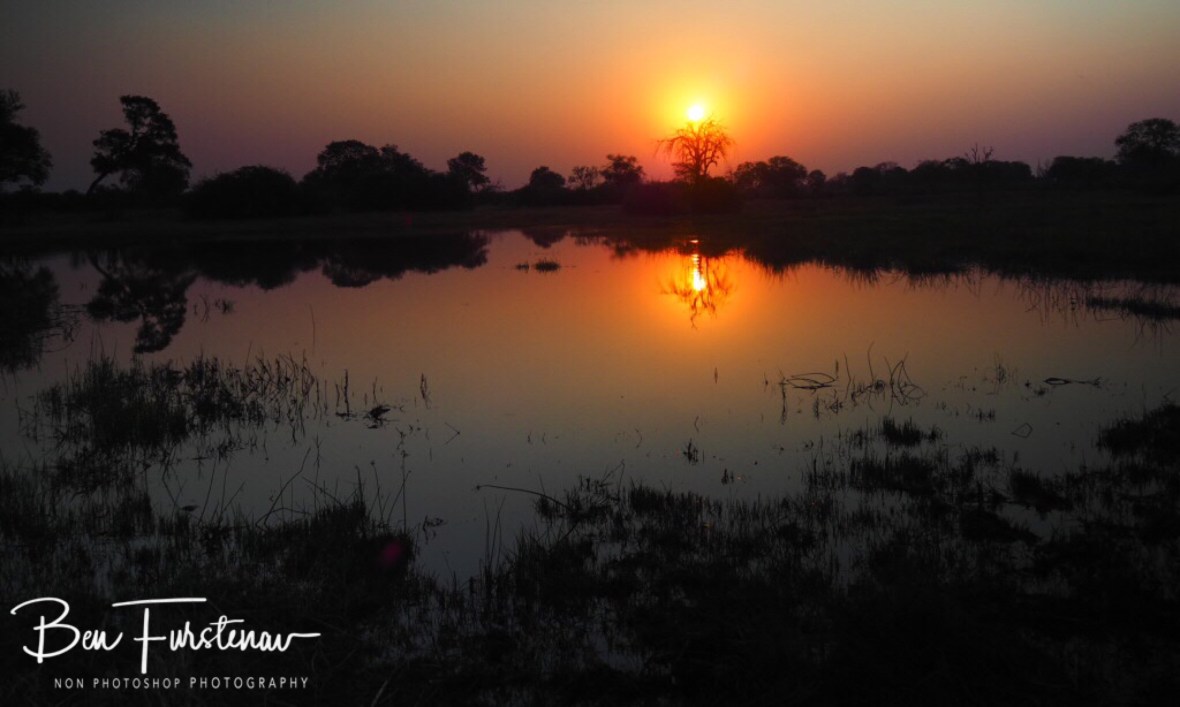 Lamp running low on light, Kwai Region, Okavango Delta, Botswana
