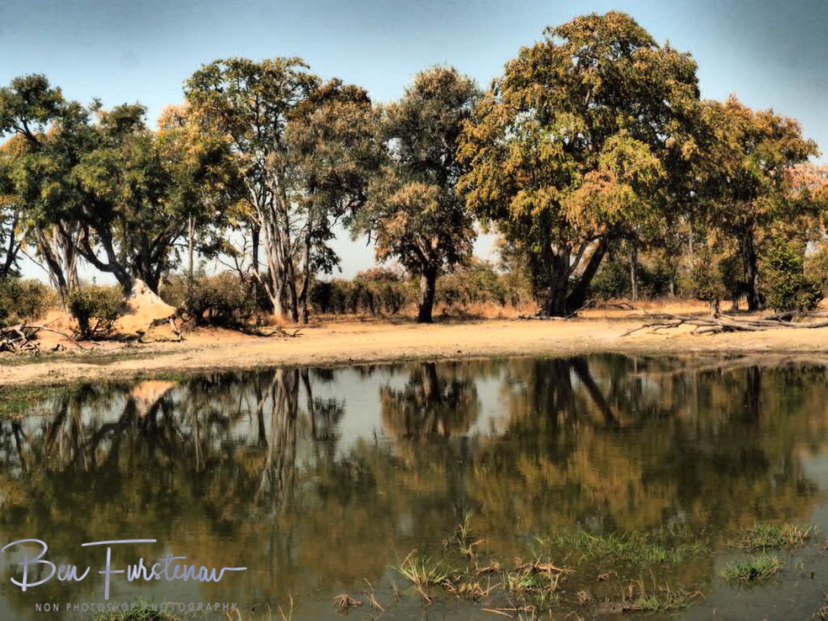 Lagoon in the desert, Okavango Delta, Chobe National Park, Botswana