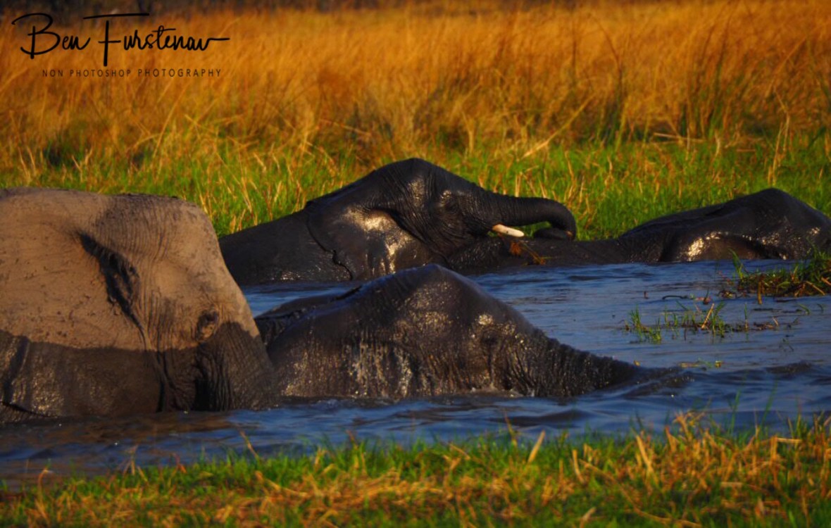 0A1A3114-47A4-4DBA-8E2A-5C287300B813