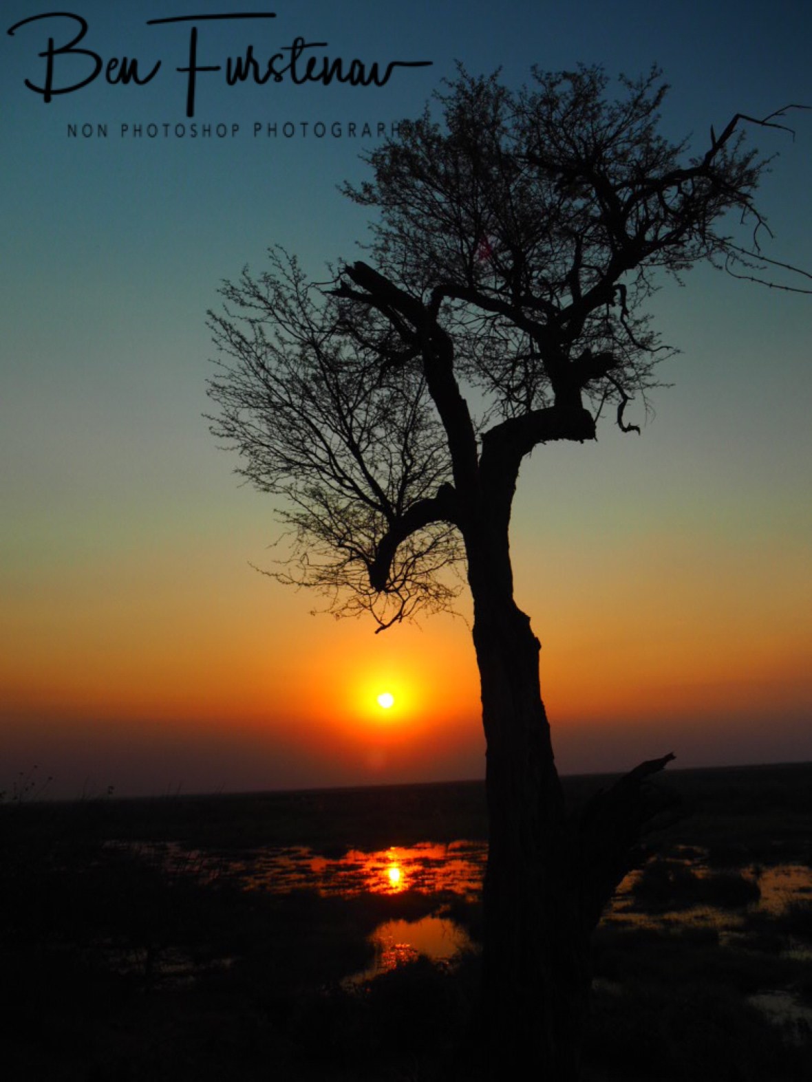 Sun fading over Linyanti swamp, Chobe National Park, Okavango Delta, Botswana 