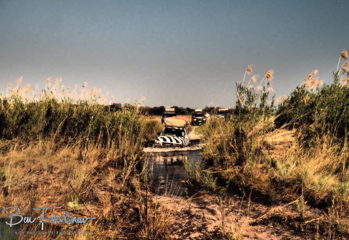 Even without snorkel, Zimba floats through rivers, Liuwa Plains National Park, Zambia 