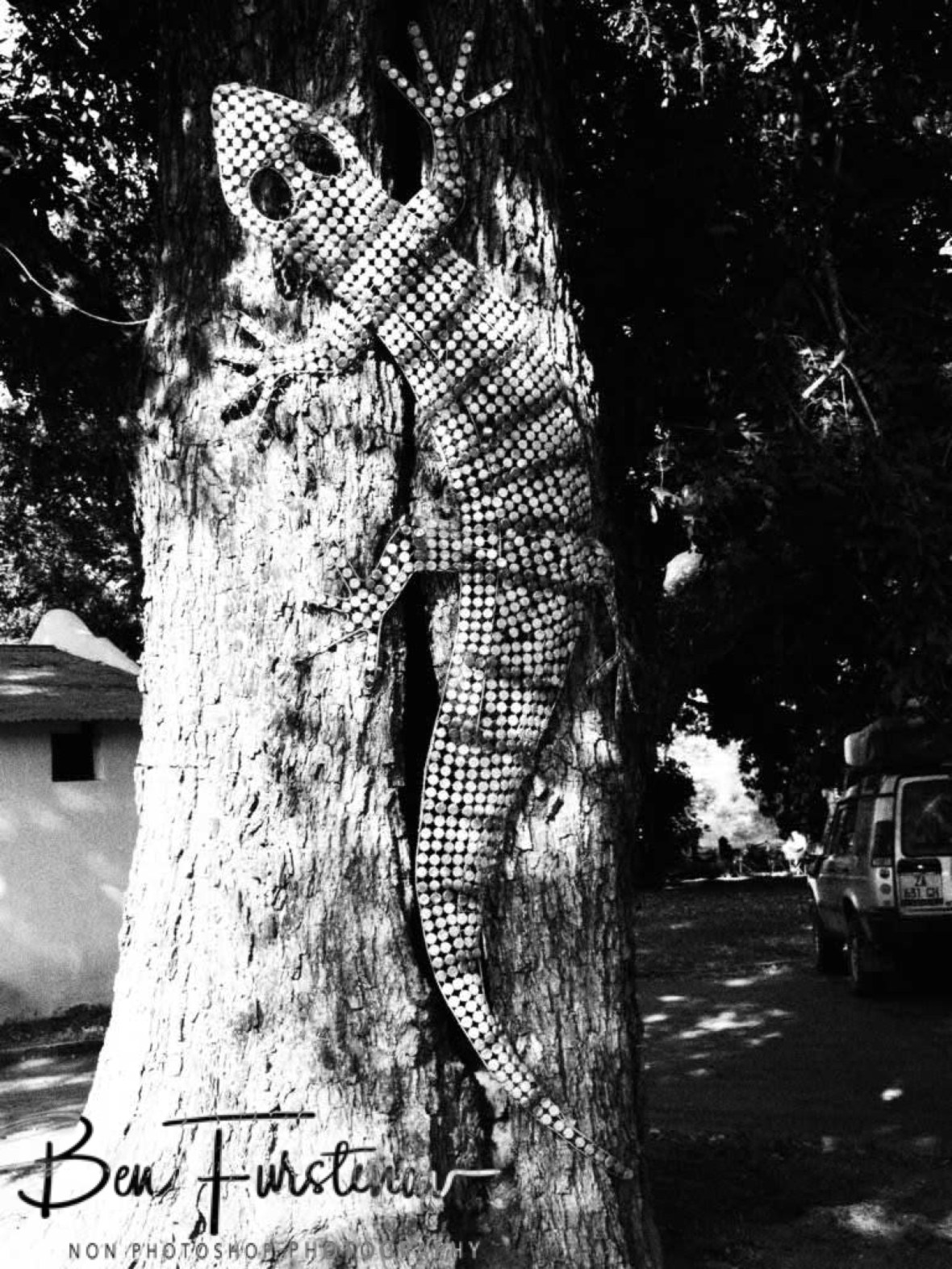 Oversized Gecko art at Thorn Tree Lodge, Livingstone, Zambia