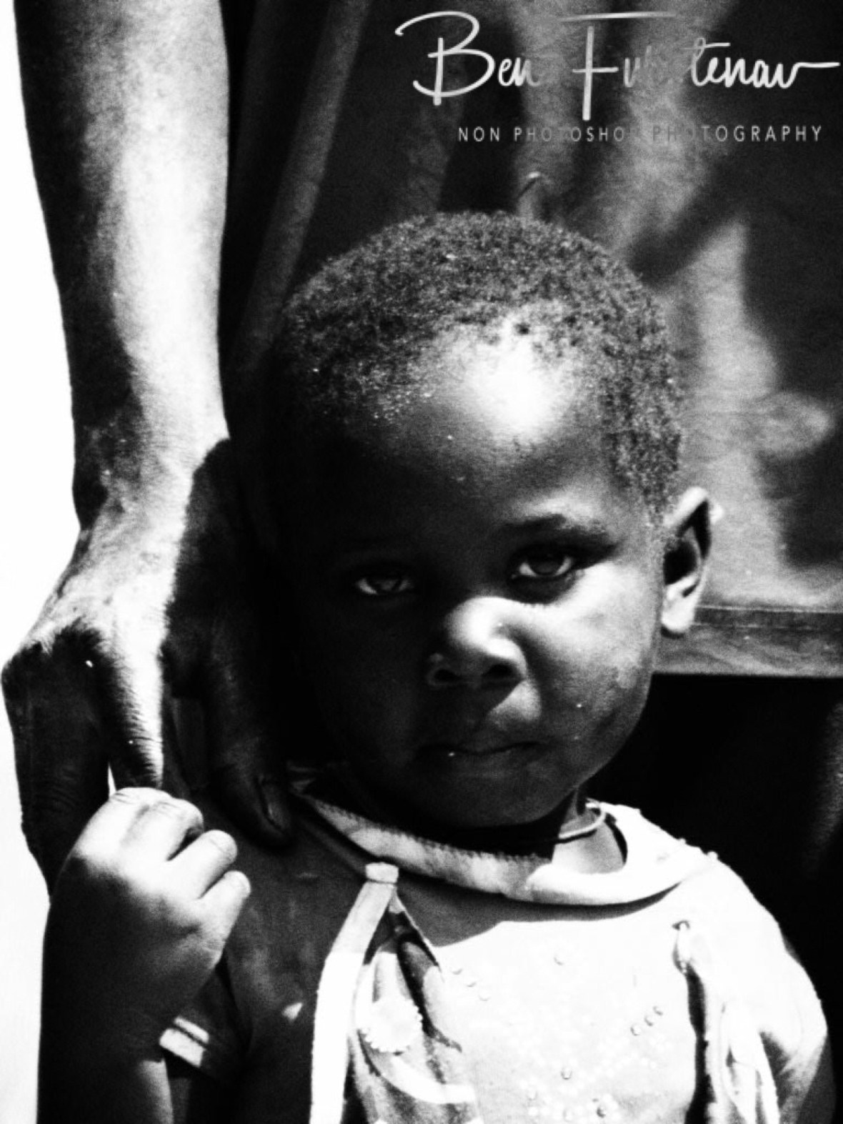 Not sure what to think, Liuwa Plains National Park, Zambia 