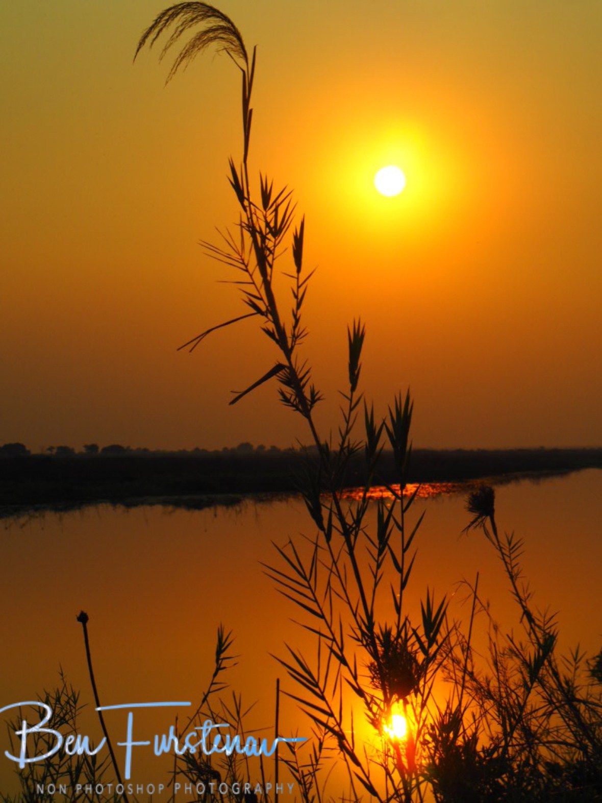 Reed sunset of calm waters, Sioma Falls, Zambia